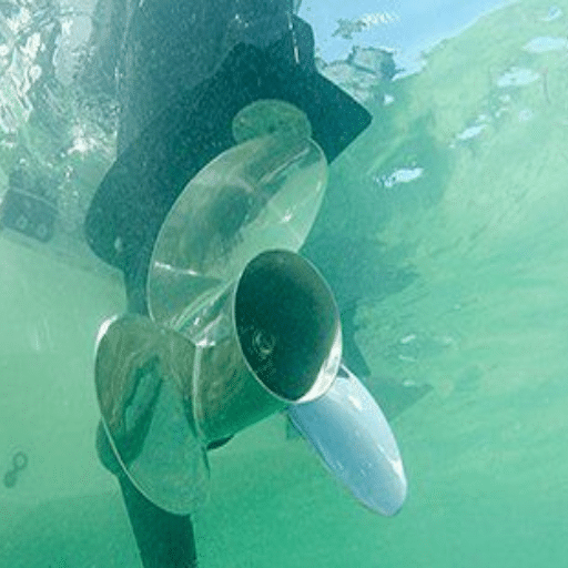 Case Study: Mercury Enertia's Impact on Cavitation