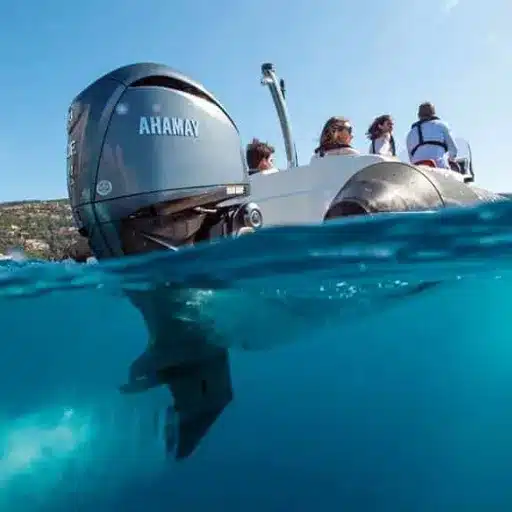 Case Studies: Successful Applications of Yamaha Outboard Propellers